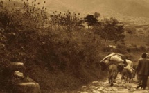 Chine : famine cachée, famine oubliée Chine : famine cachée, famine oubliée