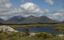 Irlande : Galway, Connemara et Boyne, visite historique de l'île d'Émeraude
