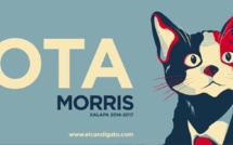 Mexique : le « candichat » s'appelle Morris Mexique : le « candichat » s'appelle Morris