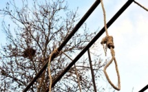 Man hanged in Iran, yet alive Man hanged in Iran, yet alive