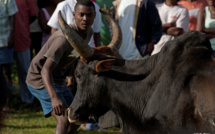 Madagascar : les dahalos sèment la terreur Madagascar : les dahalos sèment la terreur