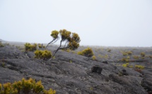 Environnement : avons-nous atteint le point de non-retour ? Environnement : avons-nous atteint le point de non-retour ?