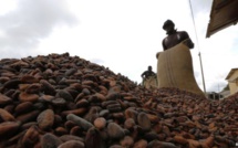 La Côte d'Ivoire ouvre sa première usine de chocolat