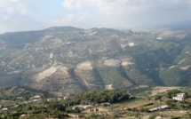 Diviser pour mieux régner : les Alaouites et le régime de Damas Diviser pour mieux régner : les Alaouites et le régime de Damas