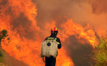 Croatie : de nombreux incendies dévastent les forêts